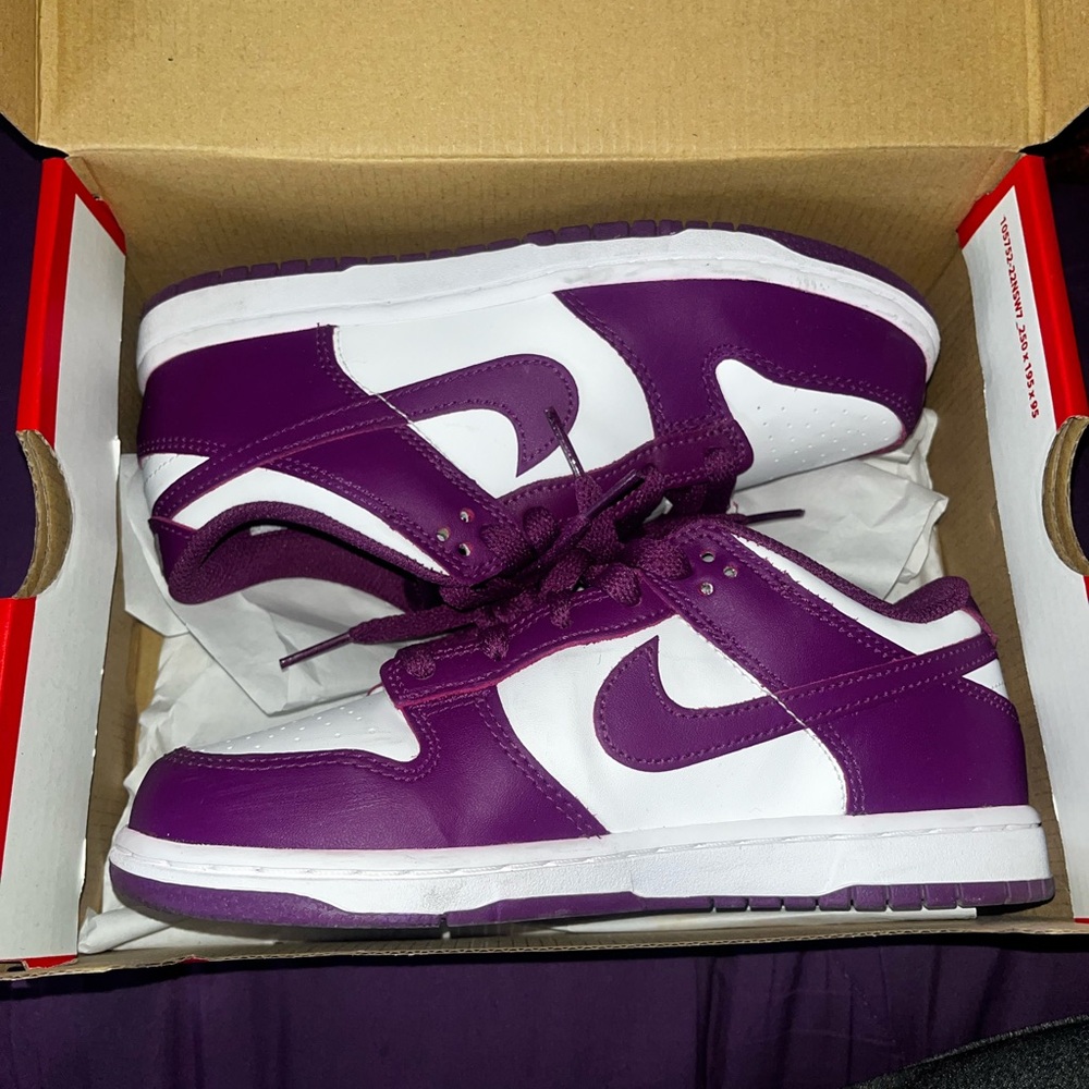 kids nike dunk